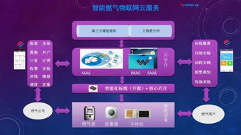 構(gòu)筑數(shù)字邊疆安全屏障 黑龍江省國(guó)家密碼管理局推動(dòng)網(wǎng)絡(luò)與信息安全軟件開發(fā)