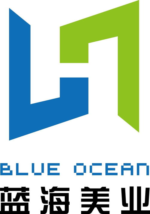 藍海美業(yè) 北京 國際投資管理